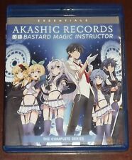 Akashic Record of Bastard