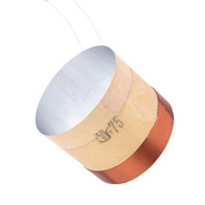 Altoparlante scheletro