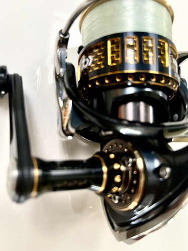 Daiwa morethan branzino - daiwa,
