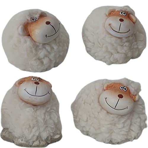 Pecora agnello pecorella - , di