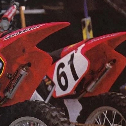 Circuito pro pungiglione 304 - pungiglione,