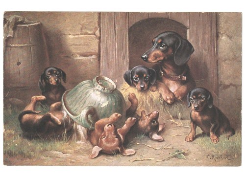 Reichert mamma cuccioli - c.,