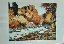 MICHELE CASCELLA "SENZA TITOLO" BELLISSIMA SERIGRAFIA 72x101 CERT. AUTENTICITA'