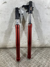 110244 Coppia Steli Forcella