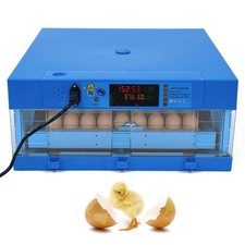 Incubatrice 64 Uova Automatica Digitale Pollo Uova Hatcher Controllo Temperatura 12V
