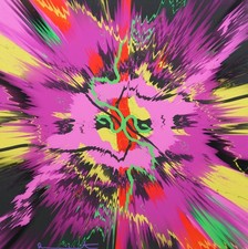 Damien hirst - hirst,