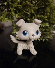 ✨️LPS Authentic Littlest