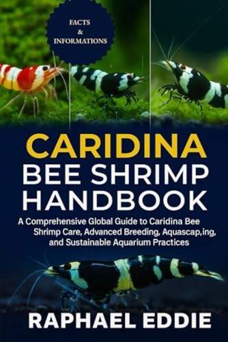 Caridina bee shrimp - shrimp, handbook