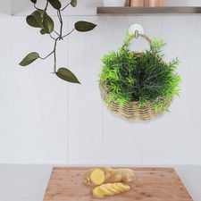  Cesto Di Fiori Da Parete