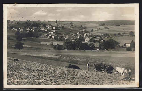 Grafenhausen foresta - /,