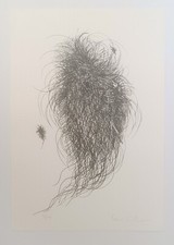 ♥ DA PINOCCHIO SERIGRAFIA DI