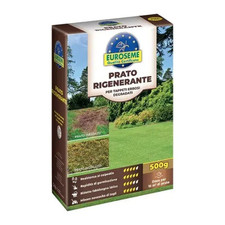 Semi prato rigenerante