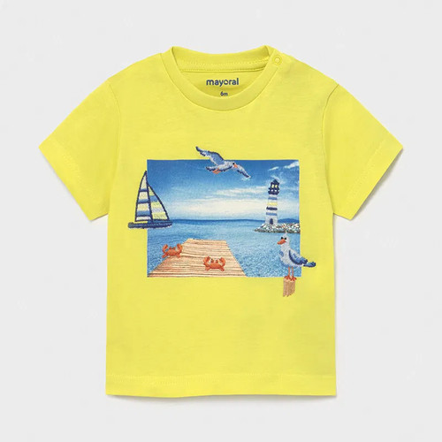 Maglia shirt maglie bimbo - t,