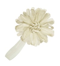 CALAMITA FIORE ORGANZA E