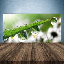 140x70 Paraschizzi in Vetro