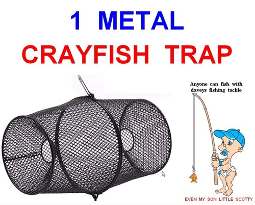Trappola per gamberi in - gamberi,