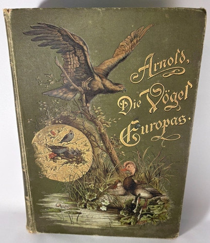 1897 die vögel europas - 1897,