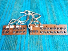 Roland Alpha Juno 1 / Alpha