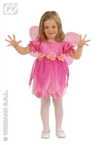 Costume fatina delle rose 2 - fatina,