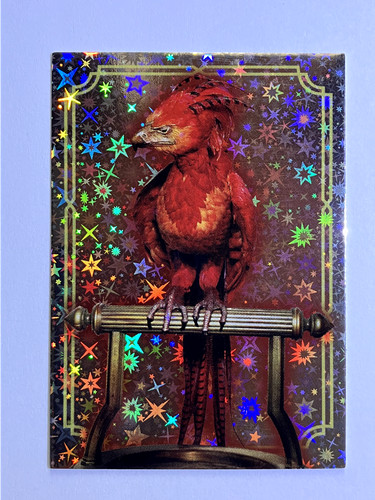 Phoenix harry potter - harry,