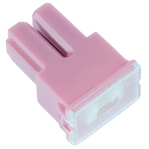 Fusibile pal rosa femmina - 5,