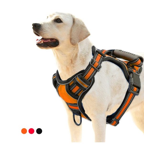 Imbracatura cane pull - cane,