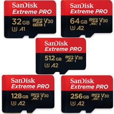 SanDisk Scheda microSDXC