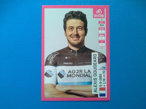Figurina ciclismo panini - panini, 102