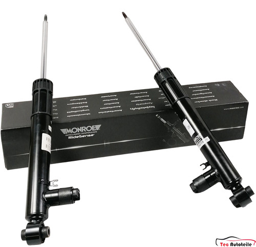 Ammortizzatore elettronico
