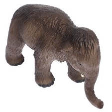 Statuina simulazione forma