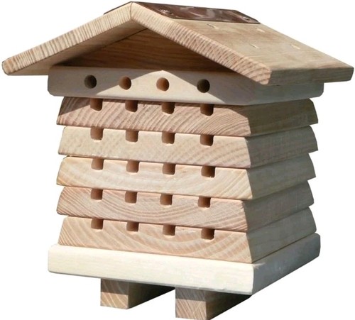 Casa interattiva delle - 🐝,
