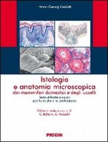 Istologia anatomia - e,
