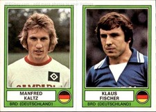 figurina Panini Euro Football