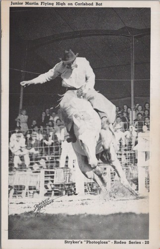 Cartolina rodeo junior - cartolina,