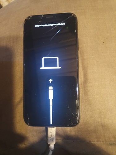 Apple iphone max 256 gb - 256,