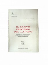 V7334 IL NUOVO PROCESSO DEL