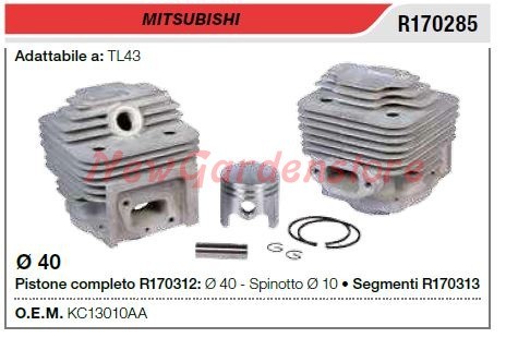 Cilindro pistone segmenti