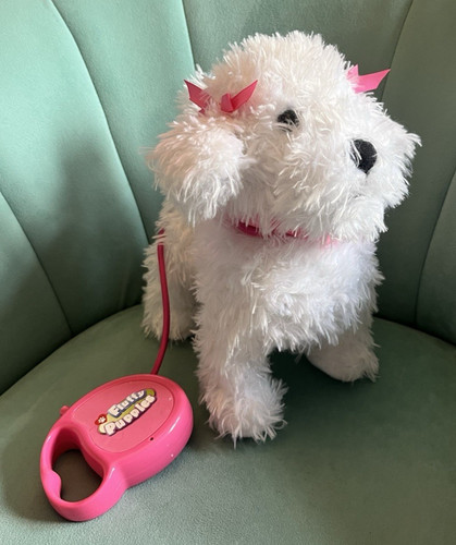 Cuccioli soffici bianchi - cuccioli,