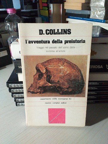 Avventura della preistoria - l'avventura,