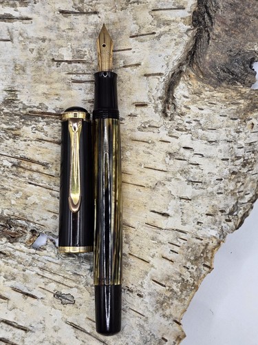 Penna stilografica vintage