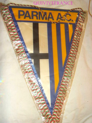 Fan413 fanion football club - fanion,