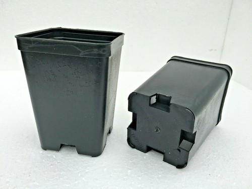 Vasi plastica quadrati 7x7x10 - plastica,