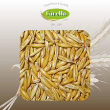 Avena Uso Zootecnico 25kg Mangime semplice per equini, ovini