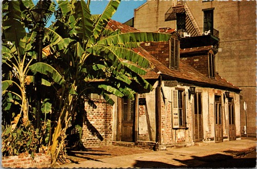 Cartolina continentale