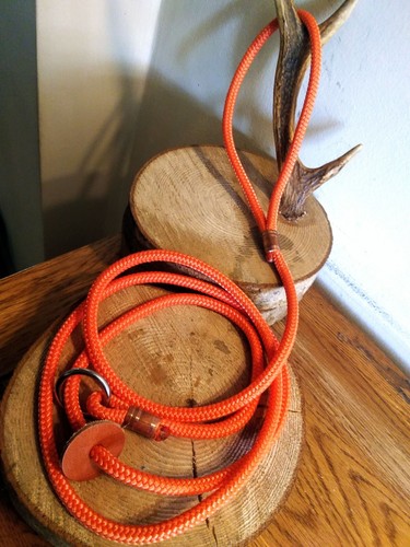 Guinzaglio scivolo cane