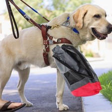  Cane Accessori Abbigliamento