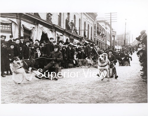 Slitta per cani vintage - , corse