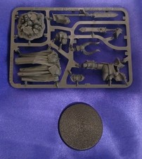 Chaos Lord, Warhammer Schiavi