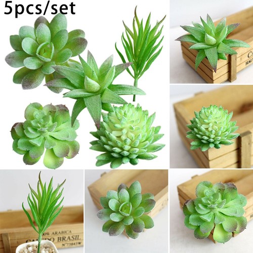 Set artificiale grasse - /,
