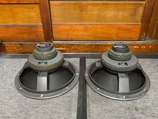 Coppia di unità woofer a cono